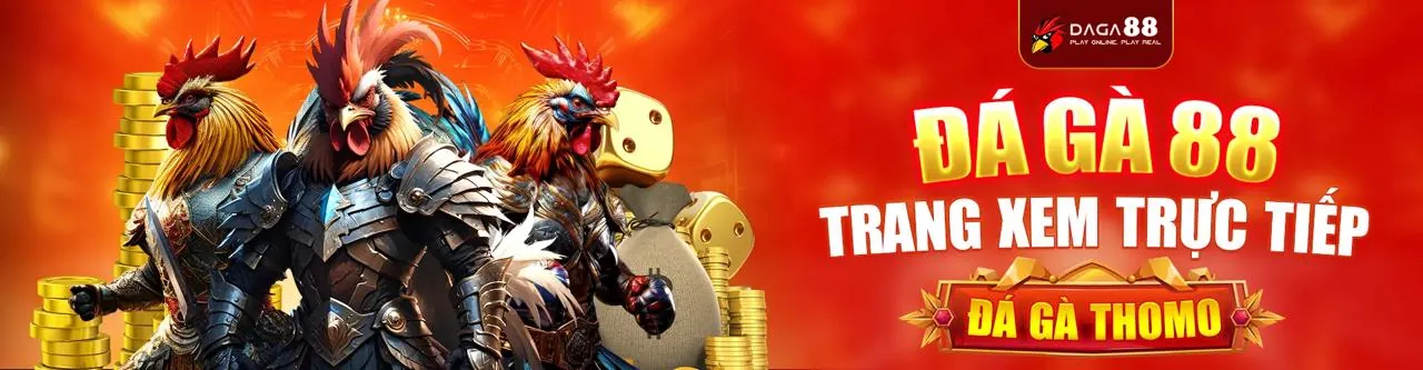 Đá gà trực tuyến to888 app