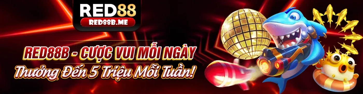 Khuyến mãi to888 app độc quyền
